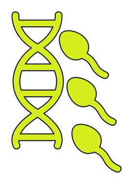 Üreme sisteminin vektör çizgisi çizimi