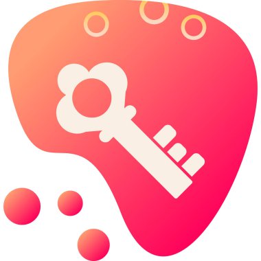 Anahtar. Web simgesi basit illüstrasyon 