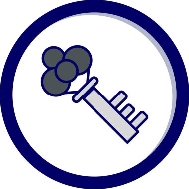 Anahtar. Web simgesi basit illüstrasyon 