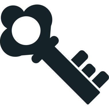 Anahtar. Web simgesi basit illüstrasyon 