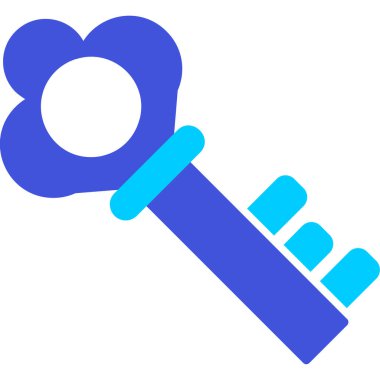 Anahtar. Web simgesi basit illüstrasyon 