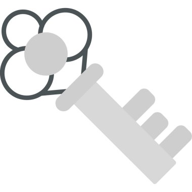 Anahtar. Web simgesi basit illüstrasyon 