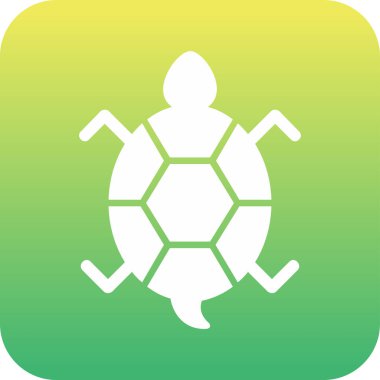 Bir kaplumbağanın ağ çizimi