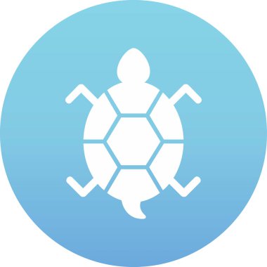 Bir kaplumbağanın ağ çizimi