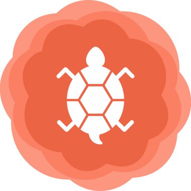 Bir kaplumbağanın ağ çizimi