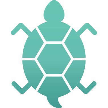 Bir kaplumbağanın ağ çizimi