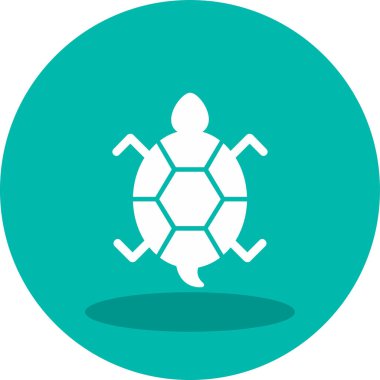 Bir kaplumbağanın ağ çizimi