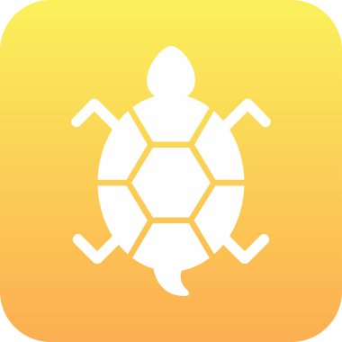 Bir kaplumbağanın ağ çizimi