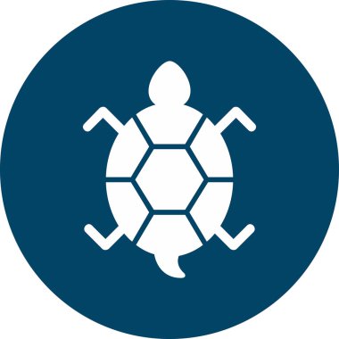 Bir kaplumbağanın ağ çizimi