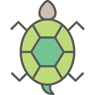 Bir kaplumbağanın ağ çizimi