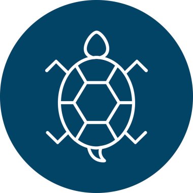 Bir kaplumbağanın ağ çizimi