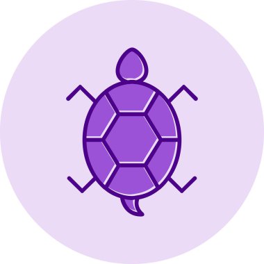 Bir kaplumbağanın ağ çizimi