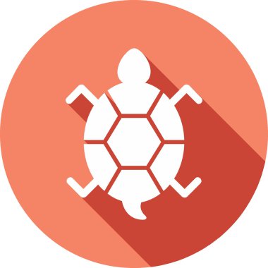 Bir kaplumbağanın ağ çizimi