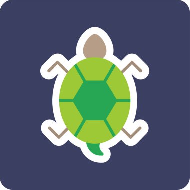 Bir kaplumbağanın ağ çizimi