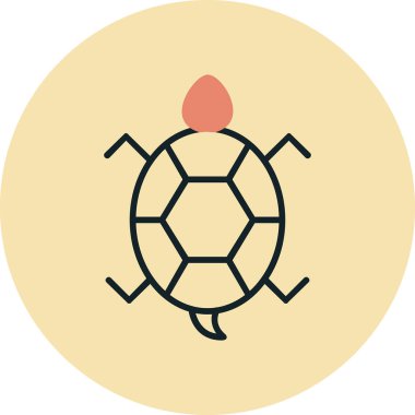 Bir kaplumbağanın ağ çizimi