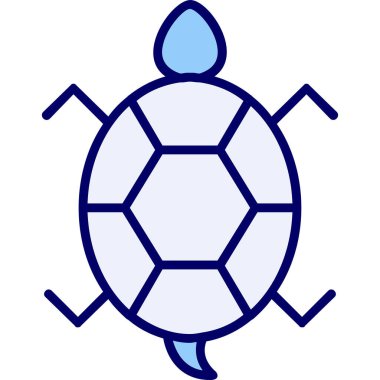 Bir kaplumbağanın ağ çizimi