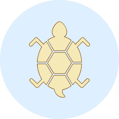 Bir kaplumbağanın ağ çizimi