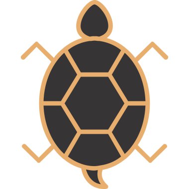 Bir kaplumbağanın ağ çizimi