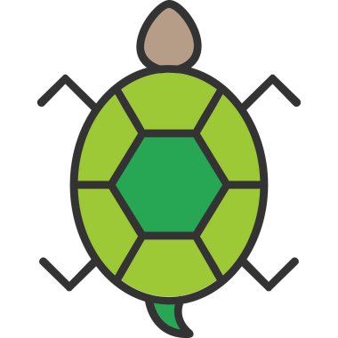 Bir kaplumbağanın ağ çizimi