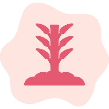 Bamboo icon, vector illustration simple design