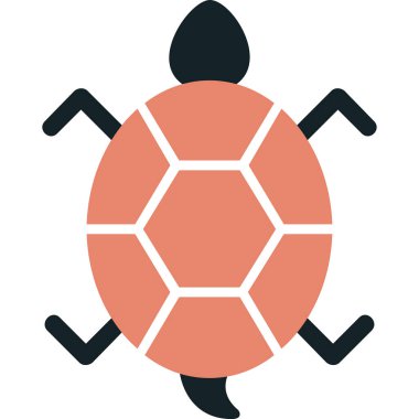 Bir kaplumbağanın ağ çizimi