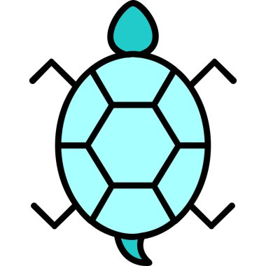 Bir kaplumbağanın ağ çizimi