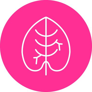 Caladium yaprağı simgesi, vektör illüstrasyonu