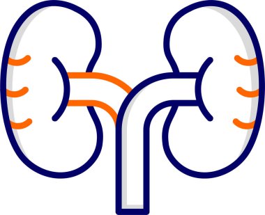 İnsan böbrekleri ikon vektör çizimi