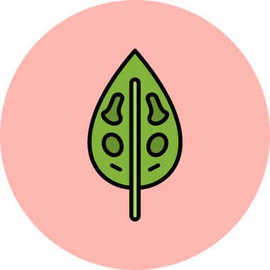 Dieffenbachia yaprak simgesi, vektör illüstrasyonu