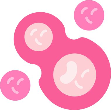 Hücre bölünmesinin temel çizgisi