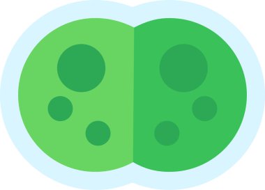 Basit Bakteri illüstrasyonunun vektör simgesi