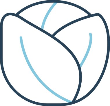 taze Brüksel Sprout simgesi, vektör illüstrasyonu 