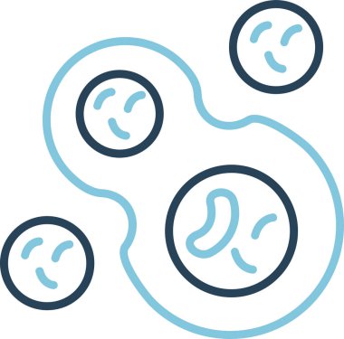 Hücre bölünmesinin temel çizgisi