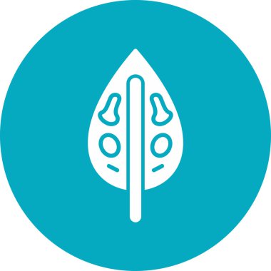 Dieffenbachia yaprak simgesi, vektör illüstrasyonu