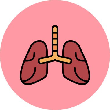 İnsan akciğerlerinin temel doğrusal görüntüsü