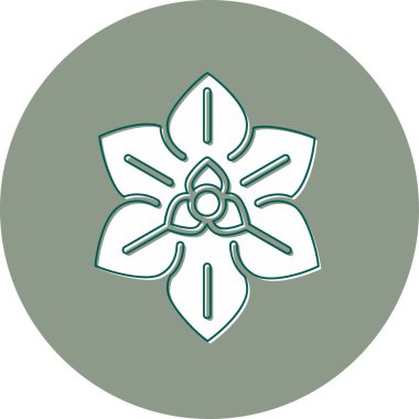 Euphorbia pulcherrima ikonu, vektör illüstrasyonu