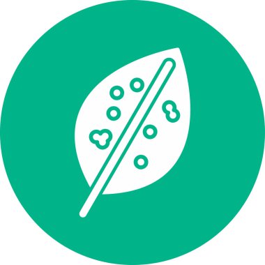 Çin Evergreen yaprak simgesi, vektör 