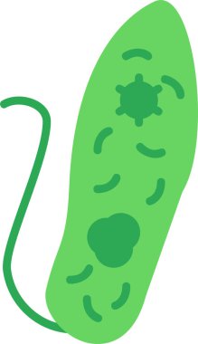 Euglenid bakteri simgesi, vektör çizimi basit tasarım