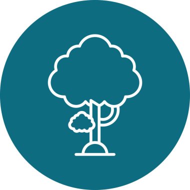 Sekoya ağaç simgesi vektör illüstrasyonu