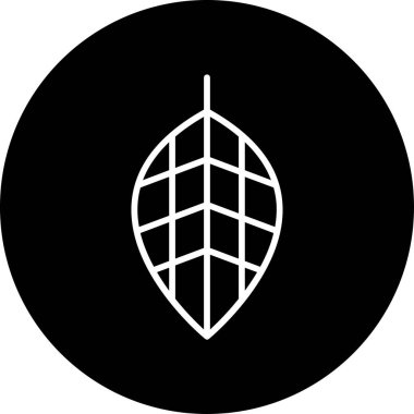 Fittonia Simge Vektör İllüstrasyonu Beyaz Arkaplanda İzole Edildi