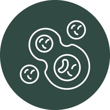 Hücrelerin bölünmesinin temel doğrusal resmi