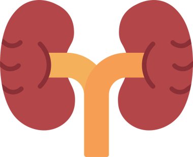 İnsan böbrekleri ikon vektör çizimi