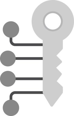 vector illustration of Digital Key icon