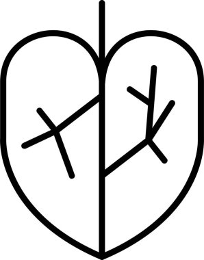 Colocasia Tropikal Bitki Simgesi Vektör İllüstrasyonu 