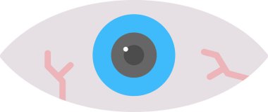 Göz yarasının temel çizgisel görüntüsü