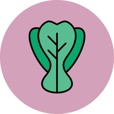 Bok Choy. Web simgesi basit illüstrasyon