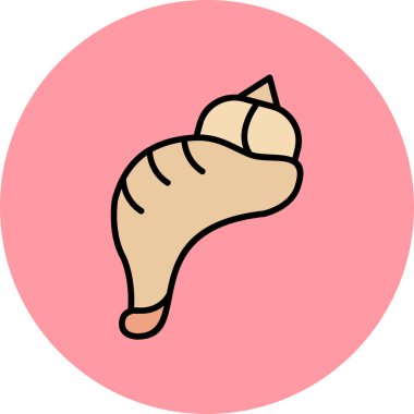 Kabuk düz simgesi, vektör illüstrasyonu