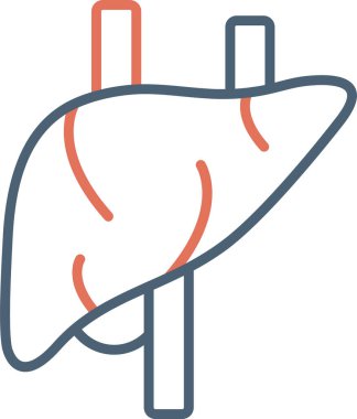 ssimple liver simgesi vektör çizimi