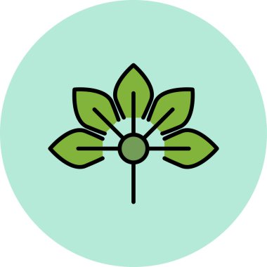 Japon Aralia çiçek ikonu vektör illüstrasyonu