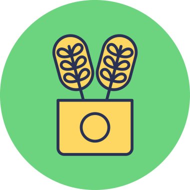 Calathea bitkisi. Web simgesi basit illüstrasyon